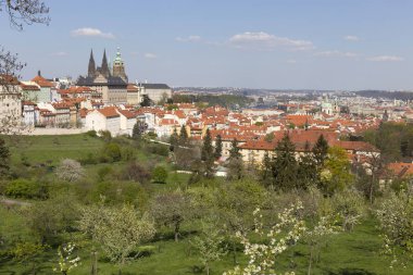 Bahar Prague City ile Gotik Kalesi ve yeşil doğa ve çiçekli ağaçlar, Çek Cumhuriyeti