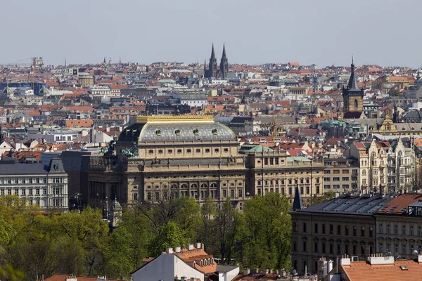 Wiosna Praga Miasto Zielonej Przyrody Kwitnących Drzew Czechy — Zdjęcie stockowe