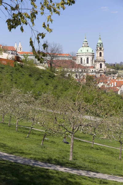 春天布拉格市与绿色自然和开花的树木 捷克共和国 — 图库照片