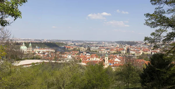 Spring Prague City Green Nature Flowering Trees Czech Republic — Stock Photo, Image