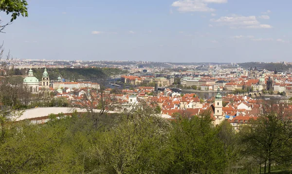 Primavera Praga Città Con Verde Natura Alberi Fioriti Repubblica Ceca — Foto Stock