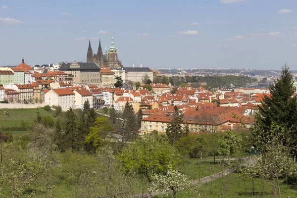 Spring Prague City Gothic Castle Green Nature Flowering Trees Czech — Stock Photo, Image