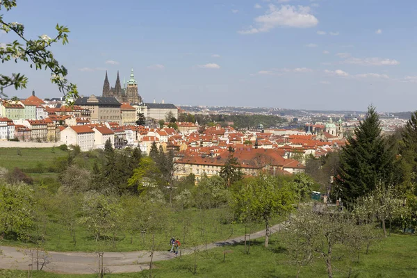 Spring Prague City Gothic Castle Green Nature Flowering Trees Czech — Stock Photo, Image