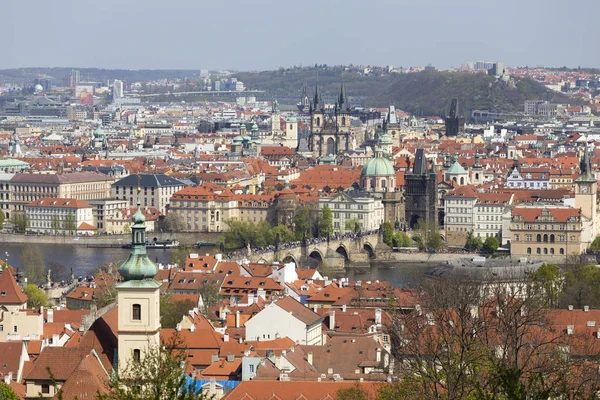 Yeşil Doğa Çiçekli Ağaçlar Çek Cumhuriyeti Ile Bahar Prag Şehir — Stok fotoğraf