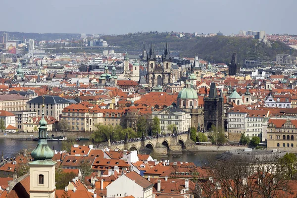 春天布拉格市与绿色自然和开花的树木 捷克共和国 — 图库照片