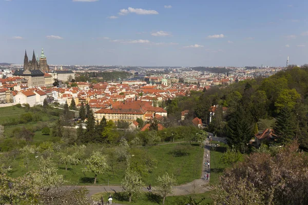 Spring Prague City Com Castelo Gótico Verde Natureza Floração Árvores — Fotografia de Stock