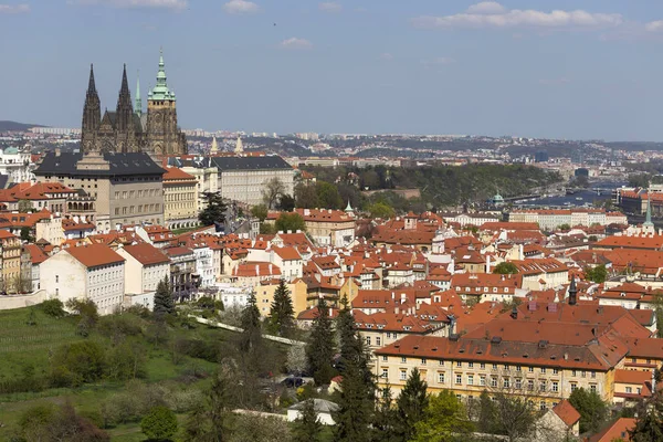 Spring City Miasto Praga Gotyckiego Zamku Zieleni Kwitnących Drzew Republika — Zdjęcie stockowe