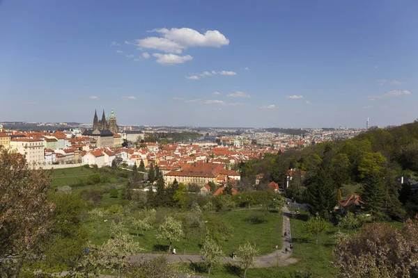 Bahar Prague City Ile Gotik Kalesi Yeşil Doğa Çiçekli Ağaçlar — Stok fotoğraf