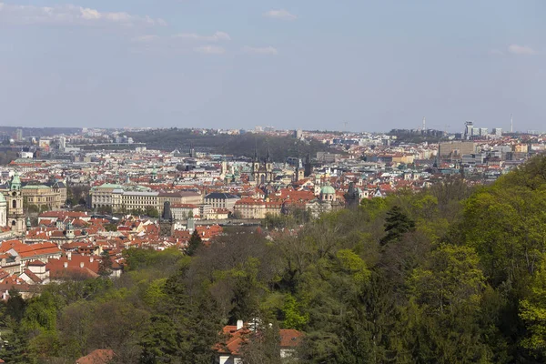 Lente Praag Stad Met Groene Natuur Bloeiende Bomen Tsjechische Republiek — Stockfoto