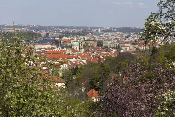 Wiosna Praga Miasto Zielonej Przyrody Kwitnących Drzew Czechy — Zdjęcie stockowe