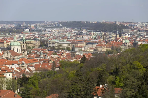 Printemps Prague Ville Avec Nature Verte Les Arbres Fleurs République — Photo