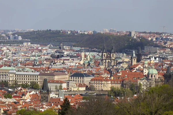 Jaro Praha Město Zelenou Přírodou Kvetoucími Stromy Česká Republika — Stock fotografie