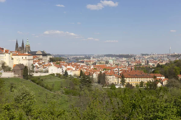 Spring City Miasto Praga Gotyckiego Zamku Zieleni Kwitnących Drzew Republika — Zdjęcie stockowe