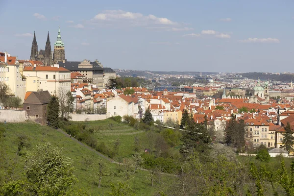 Spring City Miasto Praga Gotyckiego Zamku Zieleni Kwitnących Drzew Republika — Zdjęcie stockowe