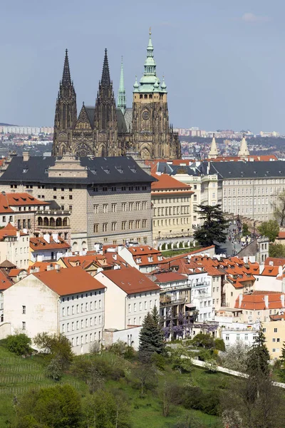 Spring Prague City Com Castelo Gótico Verde Natureza Floração Árvores — Fotografia de Stock