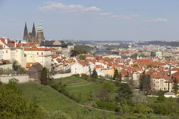 Spring City Miasto Praga Gotyckiego Zamku Zieleni Kwitnących Drzew Republika — Zdjęcie stockowe