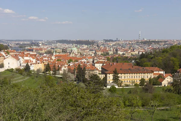 Spring Prague City Con Naturaleza Verde Los Árboles Con Flores — Foto de Stock