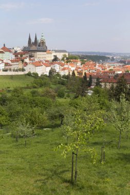 Prag İlkbaharında Gotik Kalesi, Yeşil Doğa ve Çiçekli Ağaçlar Çek Cumhuriyeti, Petrin Tepesi 'nden