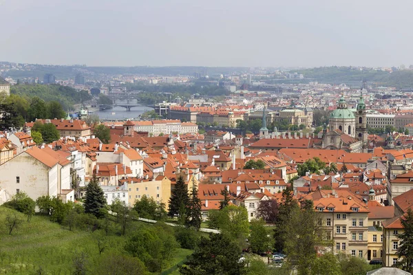 Kevät Praha Kaupunki Vihreä Luonto Kukkivat Puut Hill Petrin Tsekin — kuvapankkivalokuva