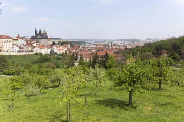 Printemps Prague Ville Avec Château Gothique Nature Verte Des Arbres — Photo