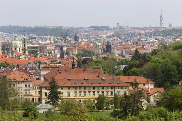 Primavera Praga Città Con Verde Natura Alberi Fioriti Dalla Collina — Foto Stock