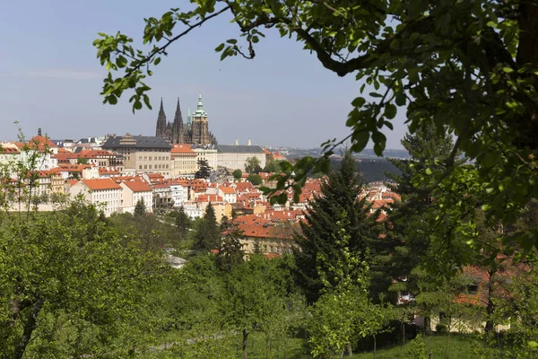 Prag Lkbaharında Gotik Kalesi Yeşil Doğa Çiçekli Ağaçlar Çek Cumhuriyeti — Stok fotoğraf