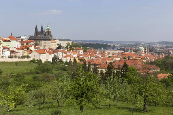 Wiosna Miasto Praga Gotyckim Zamkiem Zieloną Przyrodą Kwitnącymi Drzewami Wzgórza — Zdjęcie stockowe