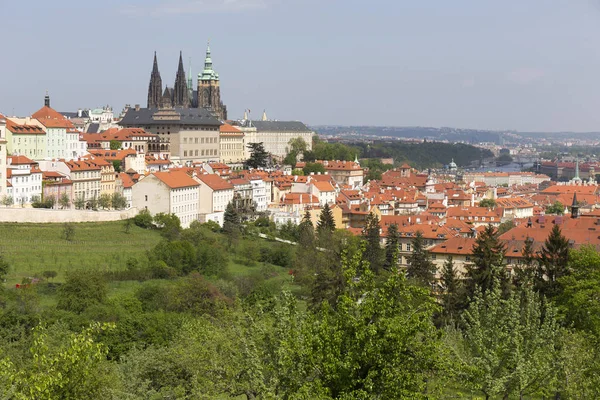 Wiosna Miasto Praga Gotyckim Zamkiem Zieloną Przyrodą Kwitnącymi Drzewami Wzgórza — Zdjęcie stockowe