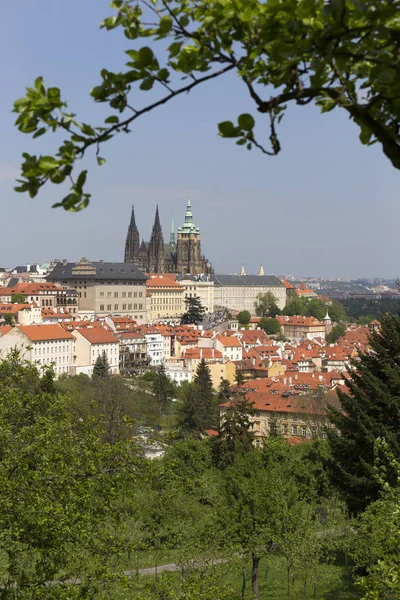 Spring Prague City Com Castelo Gótico Verde Natureza Floração Árvores — Fotografia de Stock