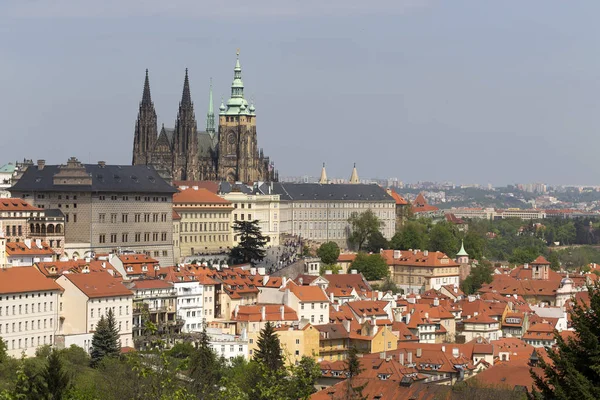 Spring Prague City Com Castelo Gótico Verde Natureza Floração Árvores — Fotografia de Stock