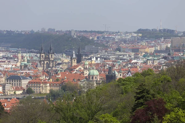 Printemps Prague Ville Avec Vert Nature Arbres Fleurs Colline Petrin — Photo