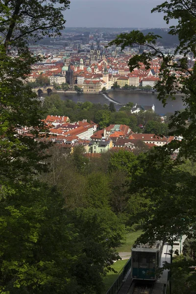 Primavera Praga Città Con Verde Natura Alberi Fioriti Dalla Collina — Foto Stock