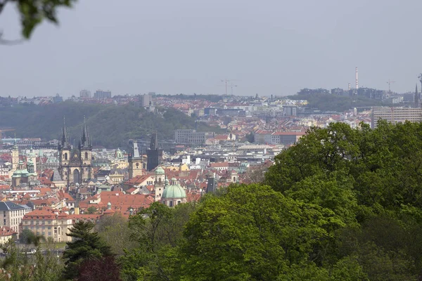 Frühling Prag Stadt Mit Grüner Natur Und Blühenden Bäumen Vom — Stockfoto