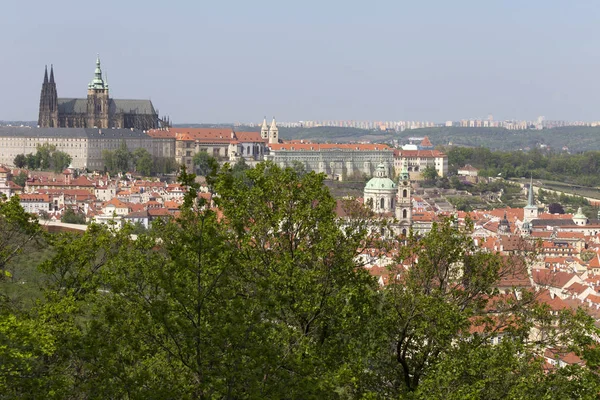 Tavasz Prága Város Gótikus Vár Zöld Természet Virágzó Fák Hill — Stock Fotó