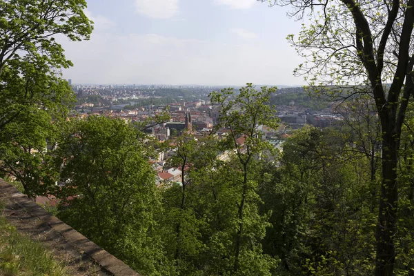 Frühling Prag Stadt Mit Grüner Natur Und Blühenden Bäumen Vom — Stockfoto