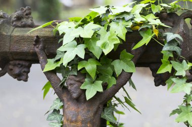 Heykelleri ile Gizem bahar eski Prag Mezarlığı, Çek Cumhuriyeti