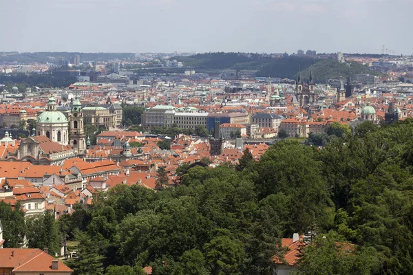 Summer Prague City Hill Petrin République Tchèque — Photo