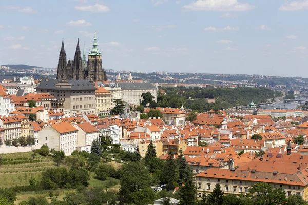 Summer Prague City Hill Petrin République Tchèque — Photo