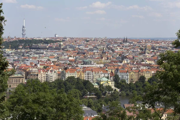 Hill Petrin Den Yaz Prag Şehri Çek Cumhuriyeti — Stok fotoğraf