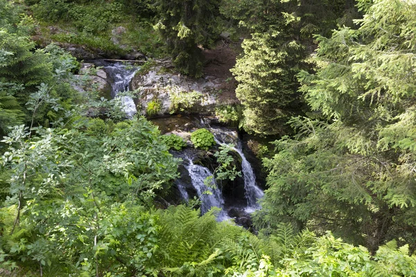 モラビアのリトルリバーホワイトオパヴァ 山ゼイゼニク 非常に緑と透明な野生の自然 チェコ共和国 — ストック写真