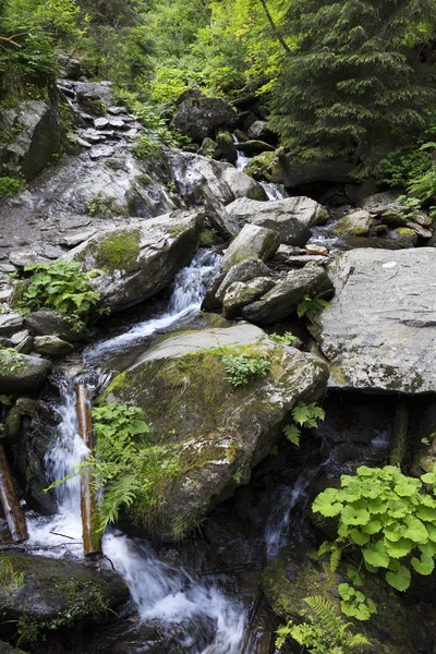 Little River White Opava Morávia Montanha Jesenik Natureza Selvagem Muito — Fotografia de Stock