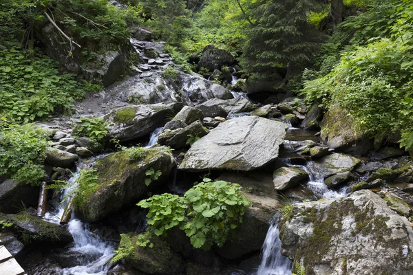 Küçük Nehir Beyaz Opava Moravya, dağ Jesenik, çok yeşil ve açık vahşi Doğa, Çek Cumhuriyeti