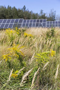 Yatay yaz aylarında Solar Power Station