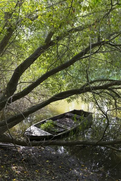 Altes Beschädigtes Ruderboot Mit Alten Großen Bäumen Über Den Fluss — Stockfoto