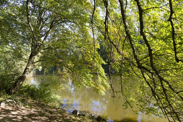 Romantischer Einsamer Pfad Mit Alten Großen Bäumen Über Den Fluss — Stockfoto