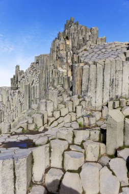 Panska Skala, Kamenicky Senov, altıgen ya da beşgen, kuzey Bohemya, Çek Cumhuriyeti 'nde bazalt organı