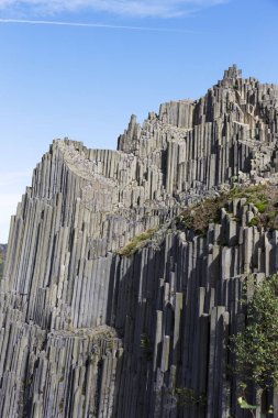 Panska Skala, Kamenicky Senov, altıgen ya da beşgen, kuzey Bohemya, Çek Cumhuriyeti 'nde bazalt organı