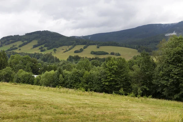 Letní Krajina Jeseníku Česká Republika — Stock fotografie