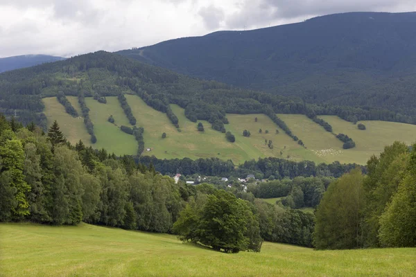 チェコ共和国 イェセニク山の夏の風景 — ストック写真