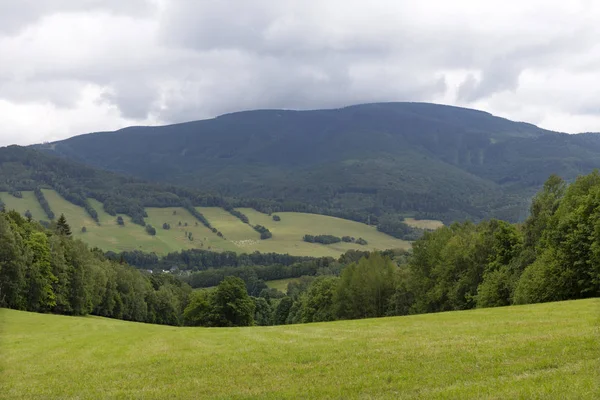 チェコ共和国 イェセニク山の夏の風景 — ストック写真